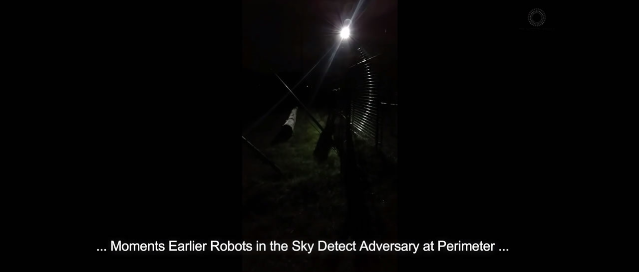 Robots in the Sky tm detect and protect by overwhelming